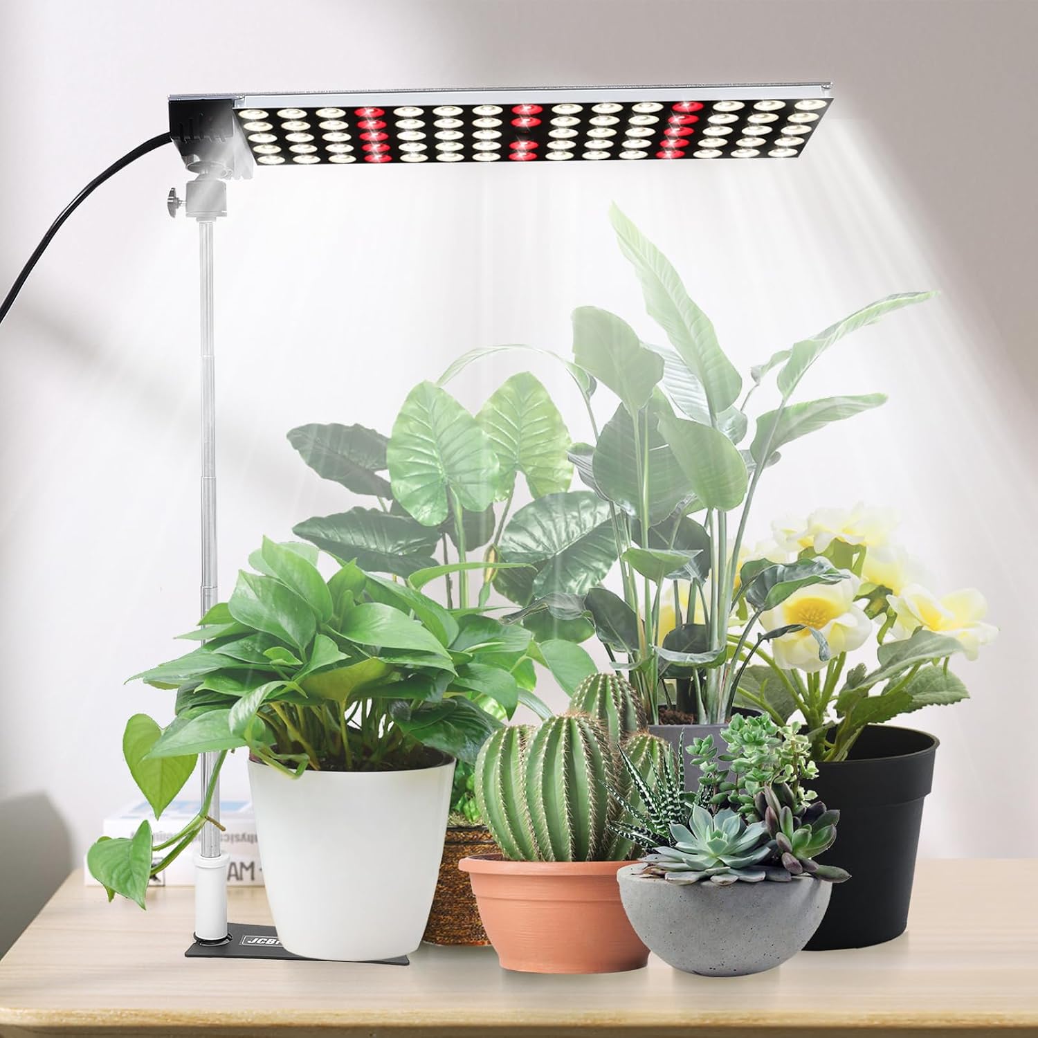 50W 植物育成ライト スタンド付き LED 白いフルスペクトルLED植物ライト 室内栽培 苗木栽培 顕花植物栽培向け水耕栽培ランプ 植物栽培工場 温室/園芸に適用